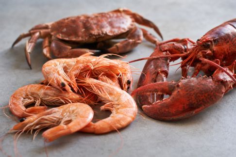 Comment tirer le meilleur parti de la cuisson des crustacés entiers